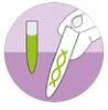 Izolace a analýza DNA Izolace a analýza DNA