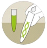 Izolace a analýza DNA Izolace a analýza DNA